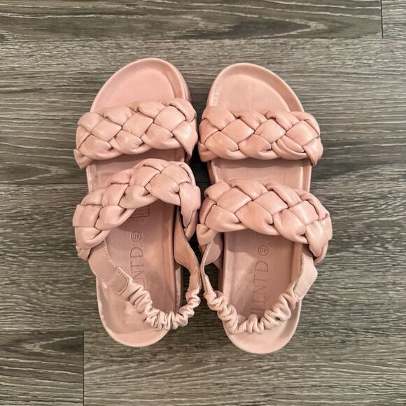 Silent D Penny Slides - Picture 6 of 6